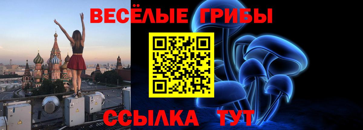 Галлюциногенные грибы MAGIC MUSHROOMS  Вход с VPN  Черногорск 
